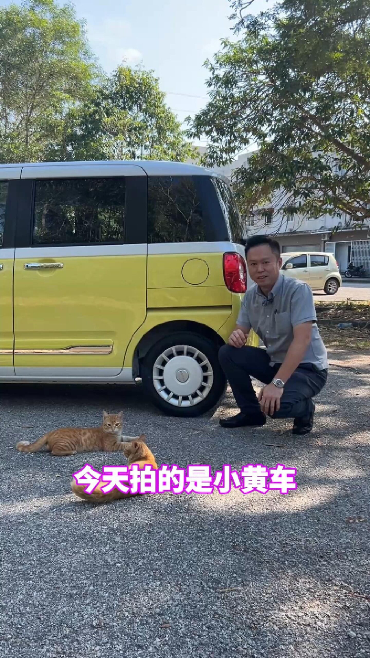 小黄车 Malaysia 汽车短视频